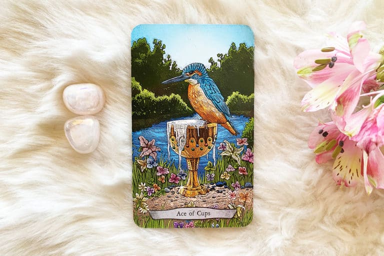 Ace of Cups — Tarot Card Meanings