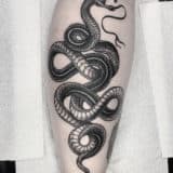 Snake Tattoos - black and grey