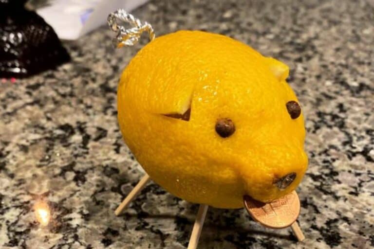 What Is the Lemon Pig?