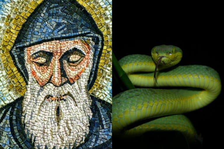 The Truth About St. Patrick, Snakes, and Pagans