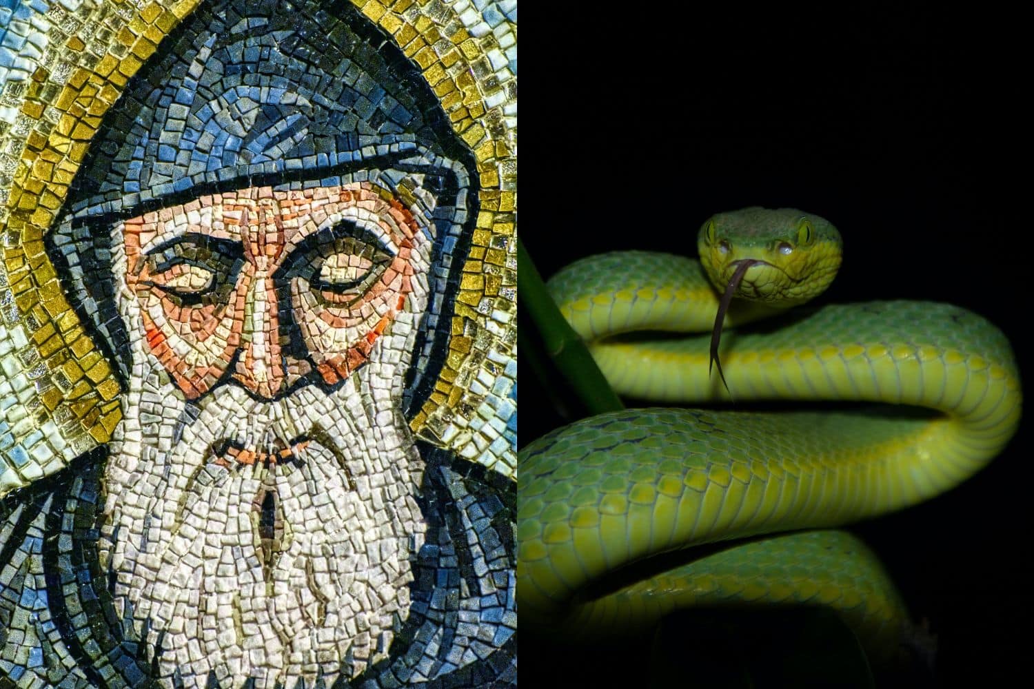 St Patrick and the Snakes Pagans