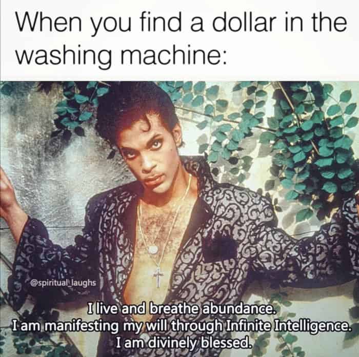 Dollar in the washing machine prince