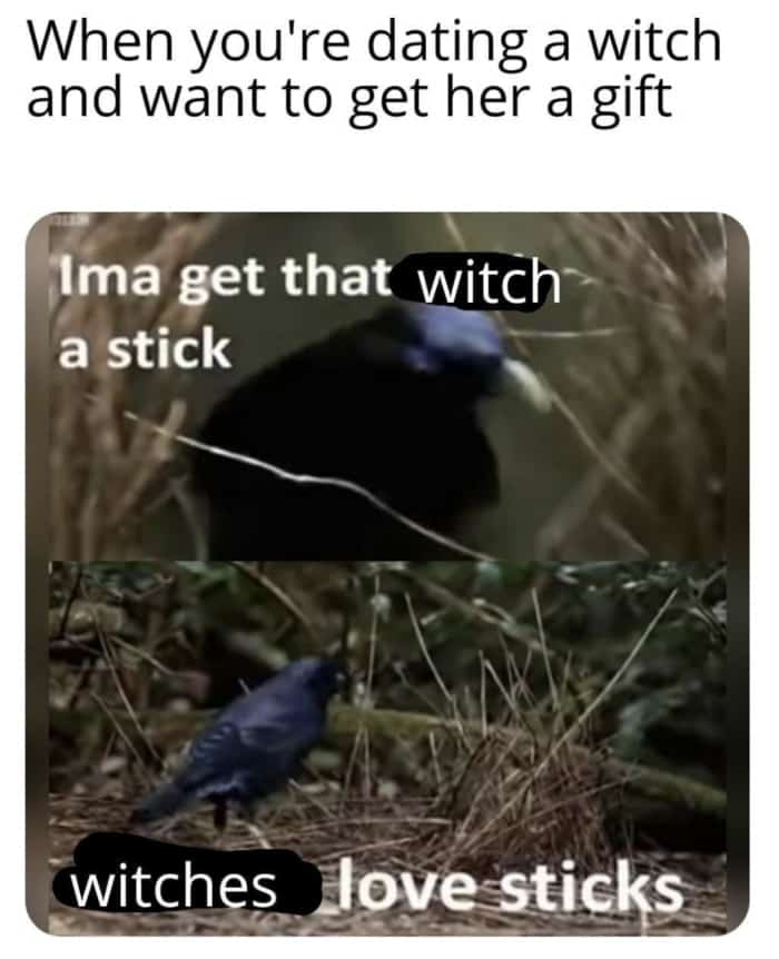 gonna get that witch a stick