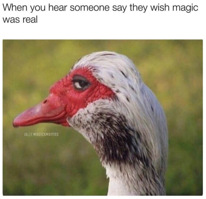 magic est realis
