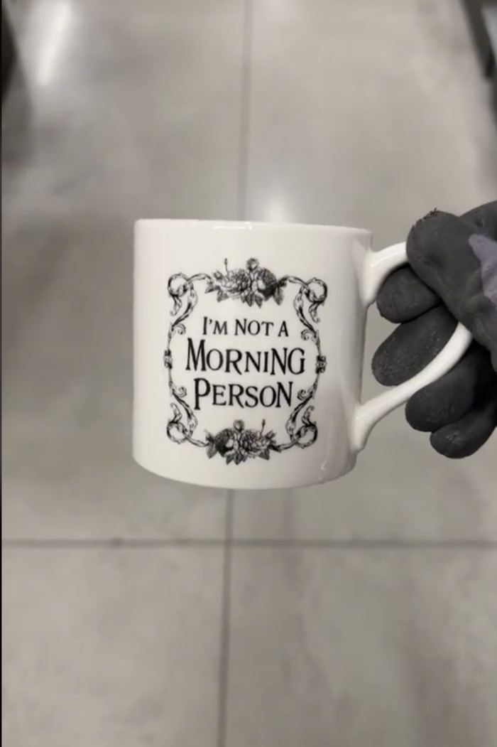 i'm not a morning person mug