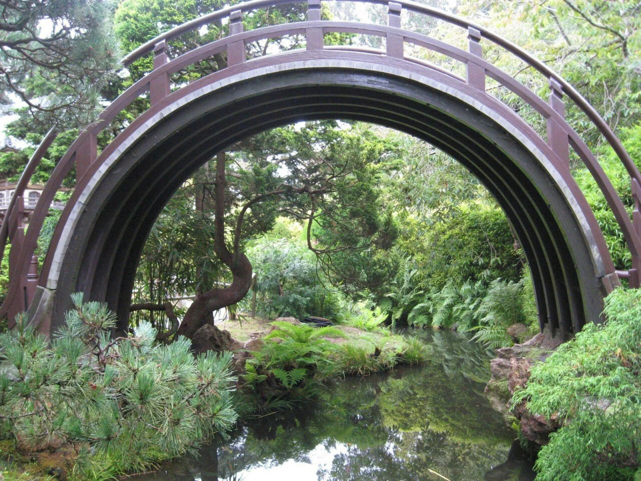 Moon bridge in Japanese Tea Garden